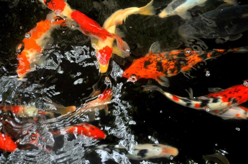 Candra Asri Bungalow ウブド エクステリア 写真