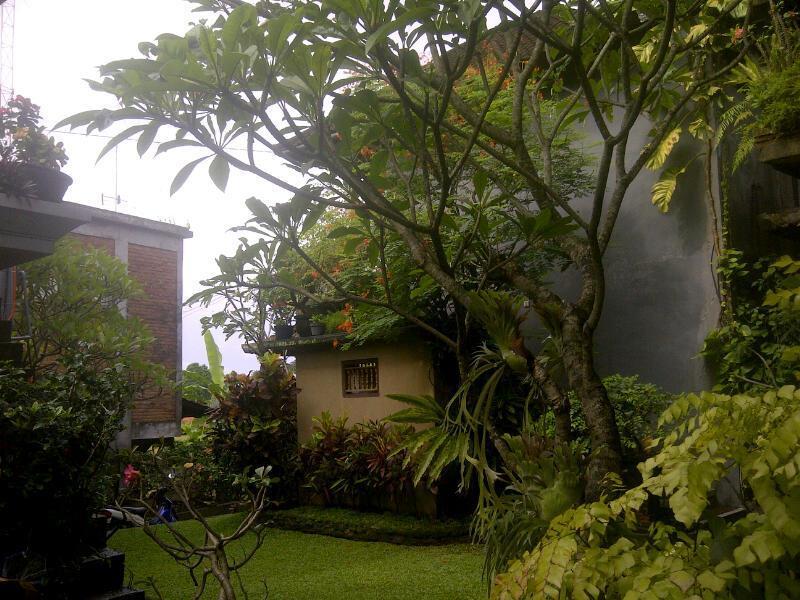 Candra Asri Bungalow ウブド エクステリア 写真