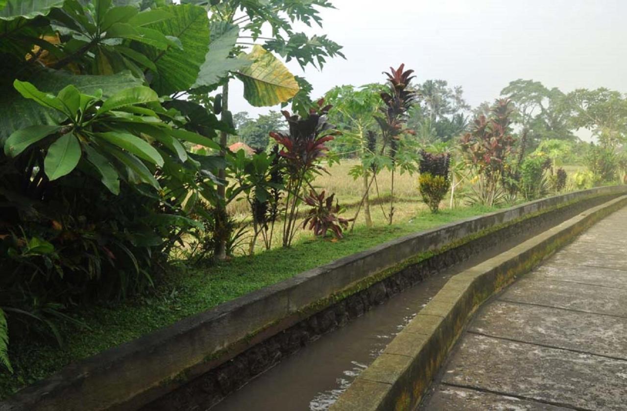 Candra Asri Bungalow ウブド エクステリア 写真